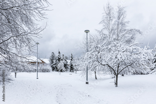 Beautiful winter day