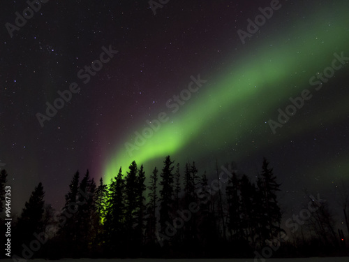 Aurora Borealis  Northern lights  in Alberta  Canada