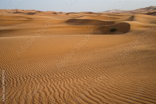Sand desert near Dubai Emirates UAE