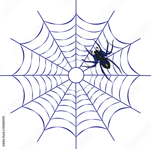 Blue spiderweb vector on white