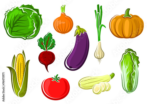 Isolated ripe healthy farm vegetables