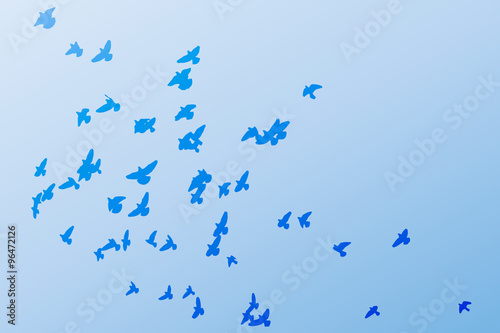 pigeon's silhouettes in the  sky, stencil for design