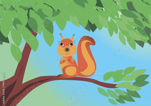 Squirrel sitting on the tree