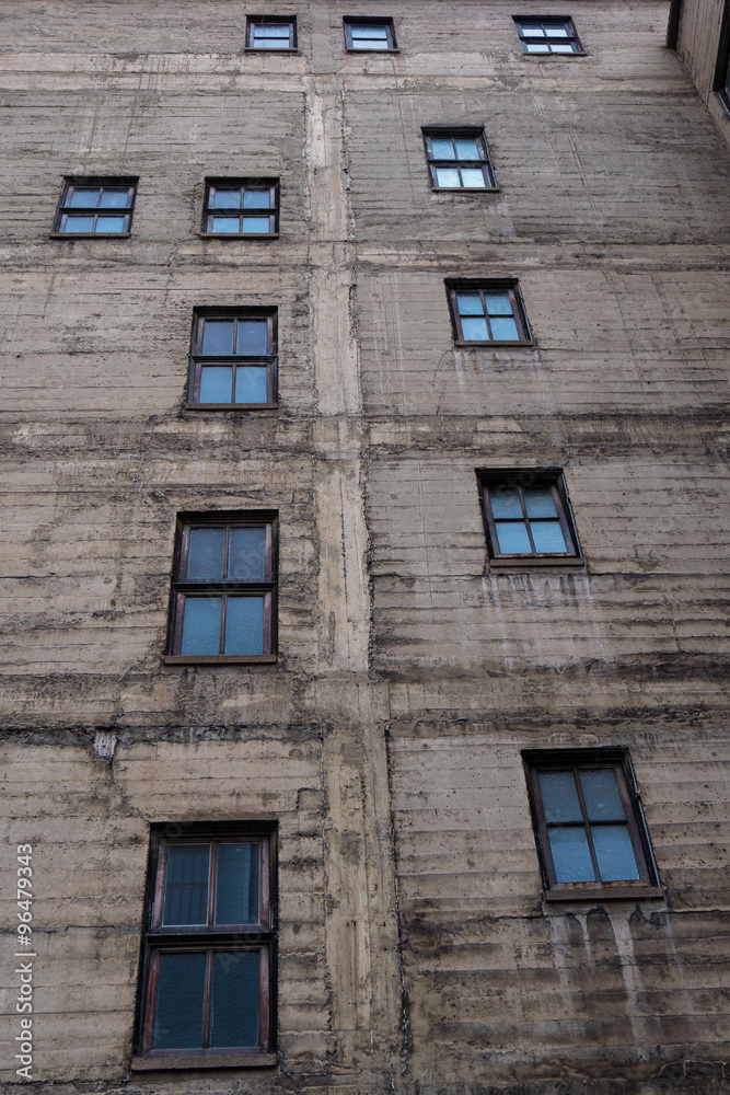 Grungy Building Wall with Windows vertical