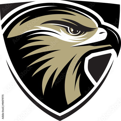 Canvas-taulu Hawk mascot