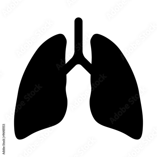 Human lung flat icon for app and website photo