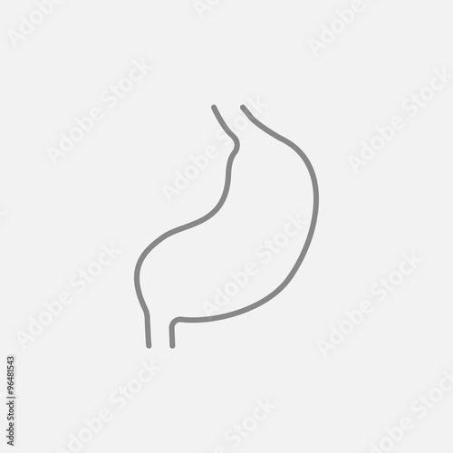 Stomach line icon.