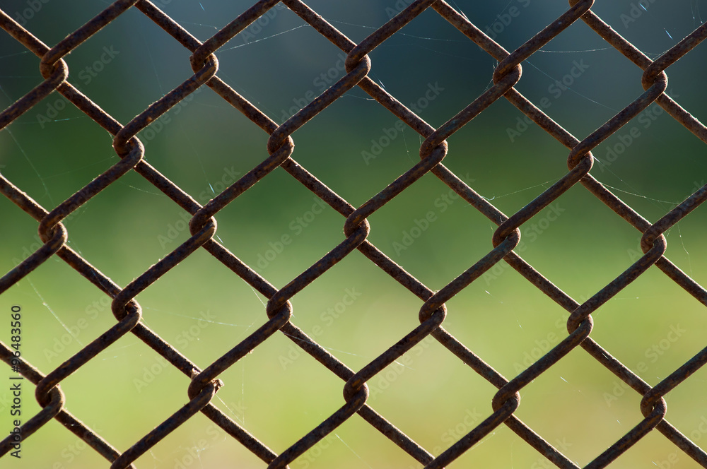 Fototapeta premium wire net background