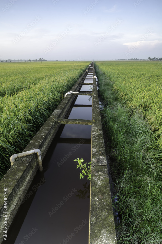 concrete paddy fields irrigation