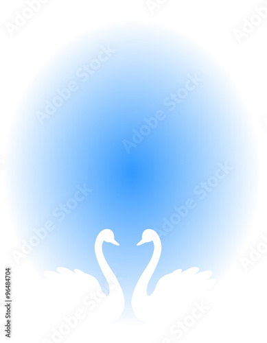 Swan couple background blue