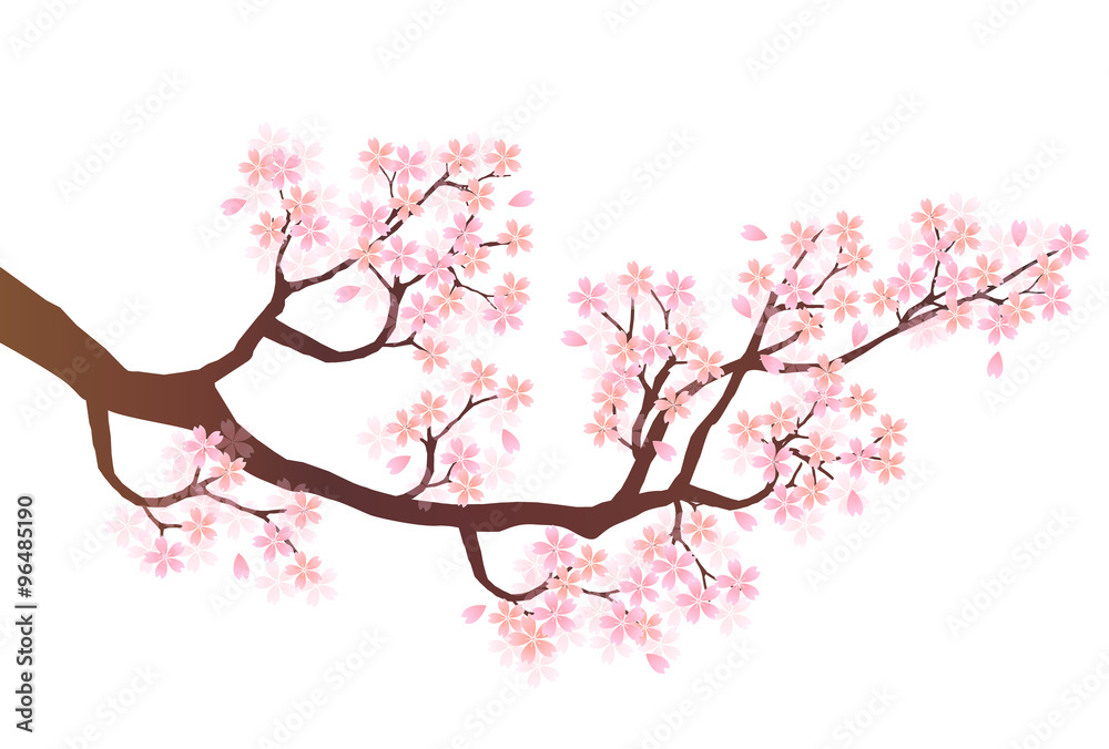 Fototapeta premium 桜 花 ピンク アイコン