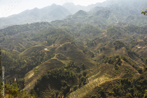 Rice terraces landscape in Sa Pa