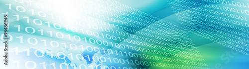 Binary Web header