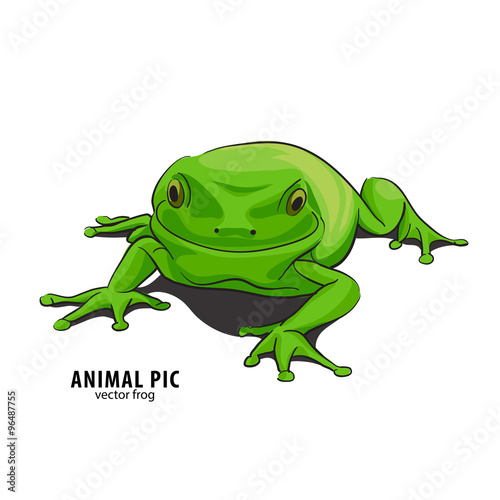 Illutration of frog © Chisnikov