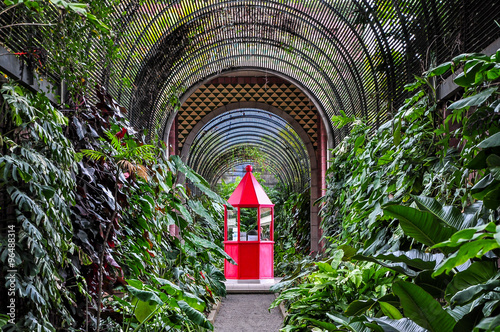 Red booth in botanical garden in Puerto de la Cruz, Tenerife, Canary islands, Spain #96488314