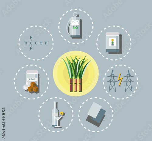 Sugar cane application in industry