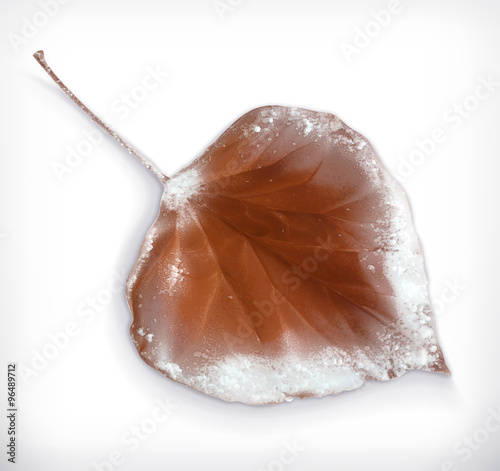 Winter, frozen leaf vector icons