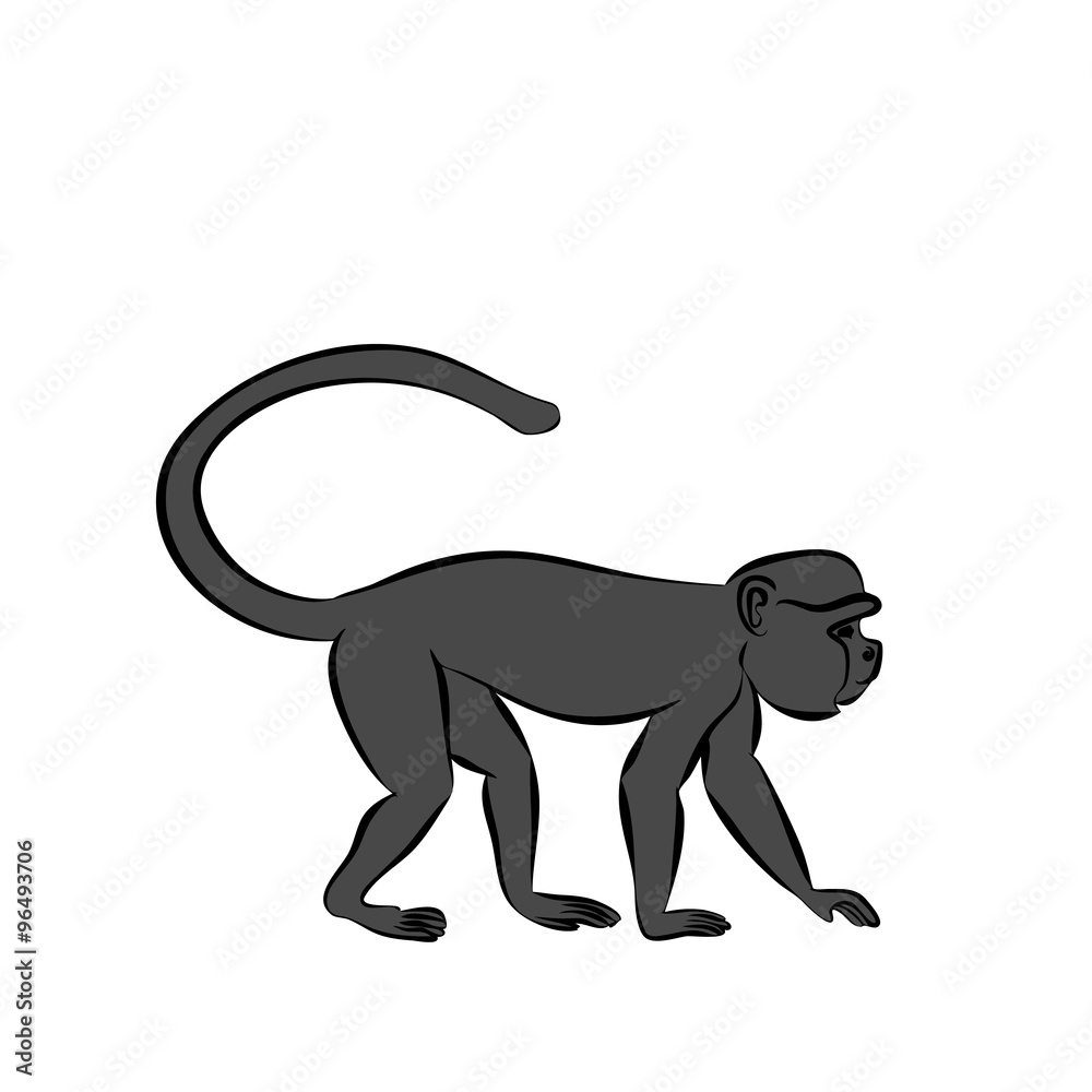 Obraz premium monkey sitting on a branch