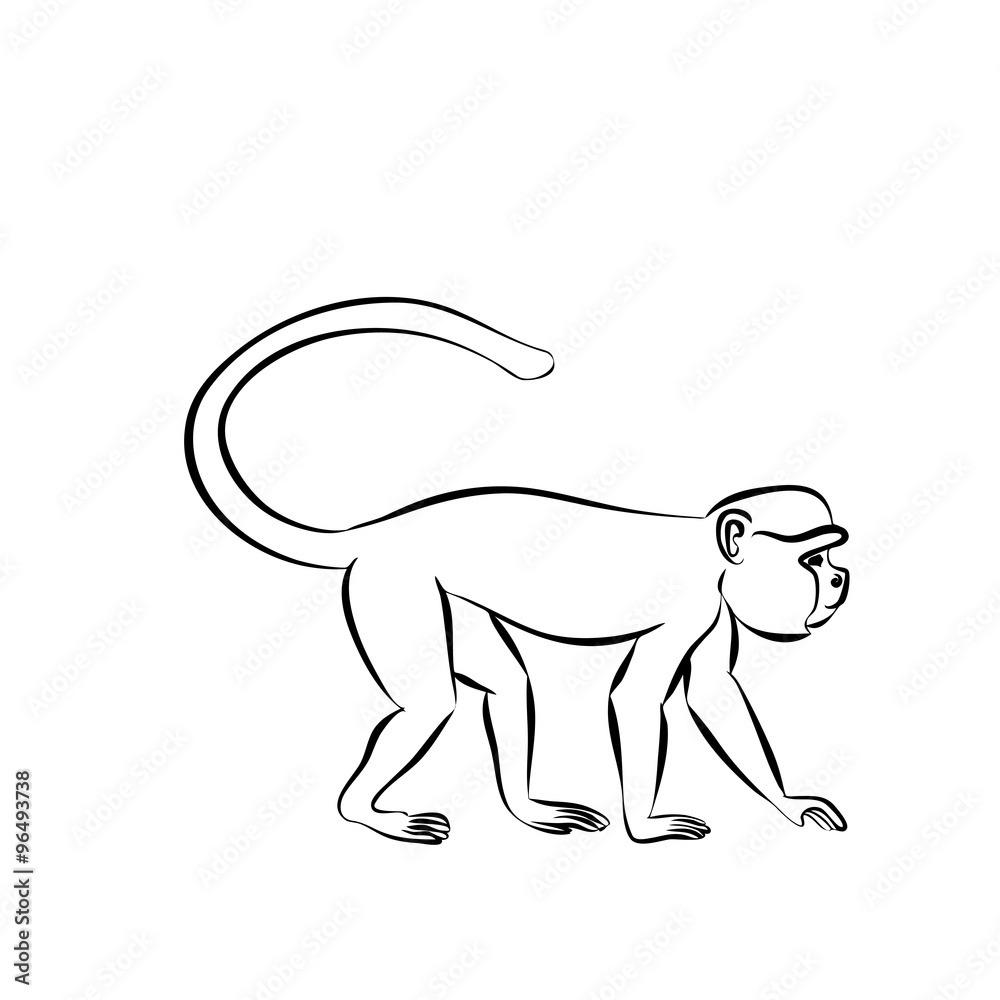 Obraz premium monkey sitting on a branch