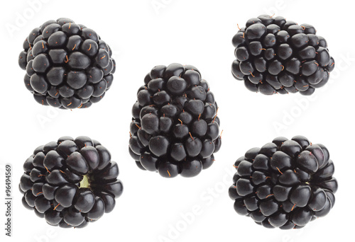 Blackberry fruit collection