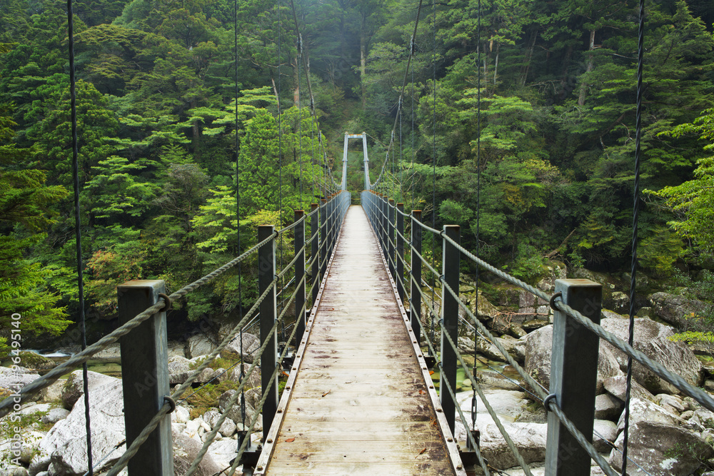 Rainforest bridge in Yakusugi Land on on Yakushima Island