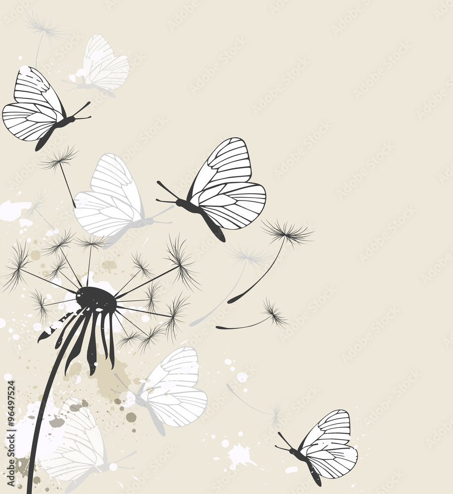Fototapeta premium Dandelion and butterflies