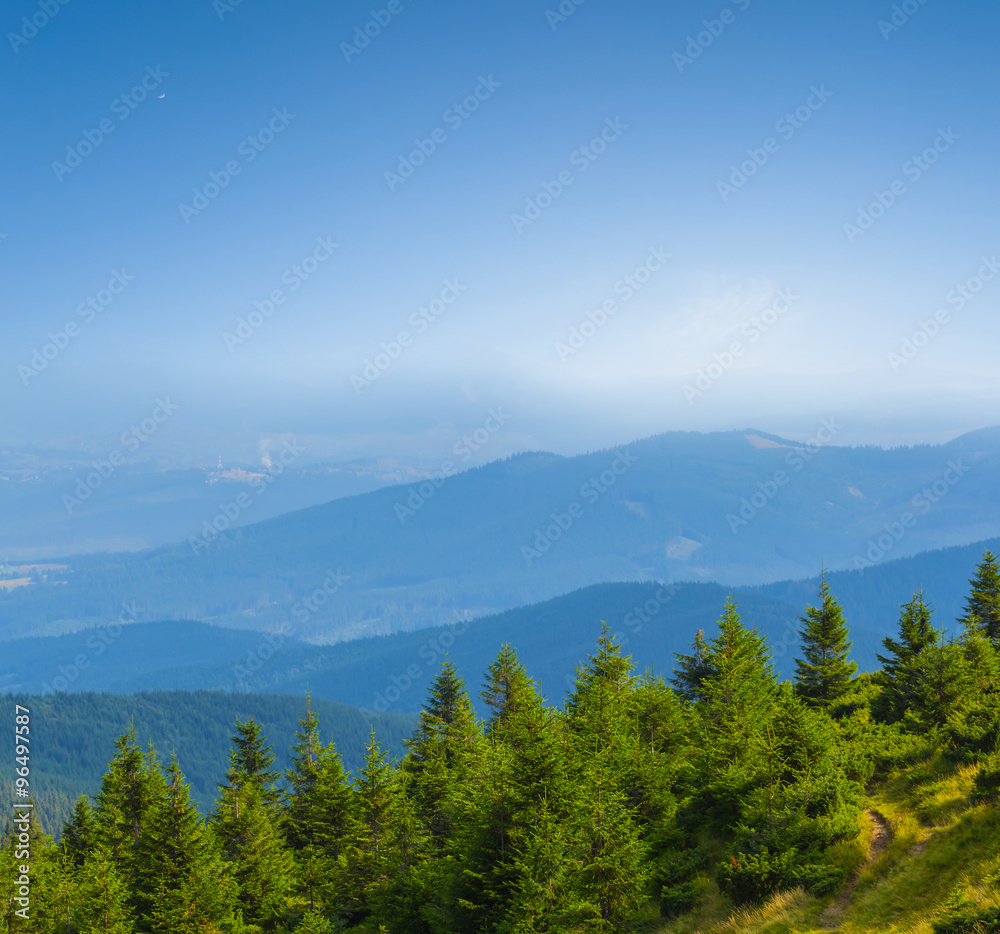 beautiful green mountain forest, blue misty mountain ridge