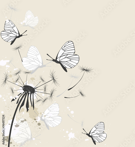 Fototapeta Naklejka Na Ścianę i Meble -  Dandelion and butterflies