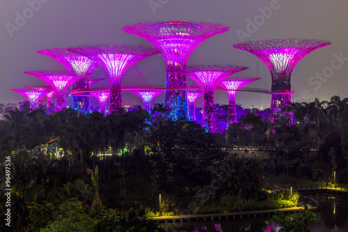 Supertree Grove in Gardens by the Bay, Singapore