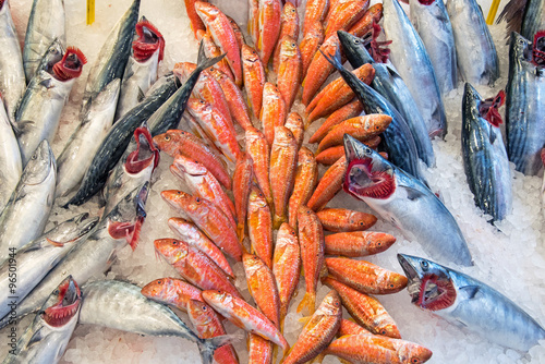 Fresh fish offer at a market in Istanbul photo