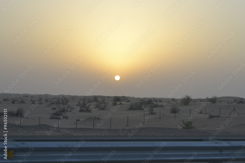 the desert in Dubai 