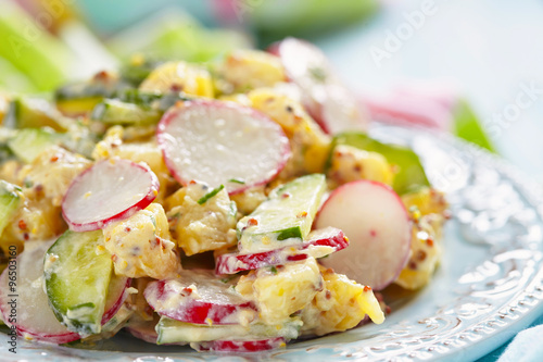 Cuadro en lienzo potato salad with cucumber and radish
