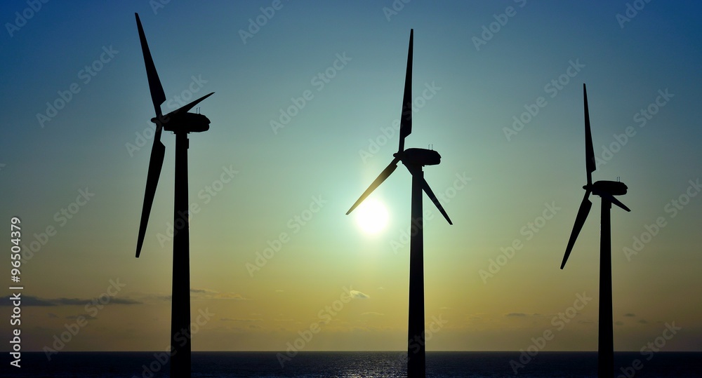 Fototapeta premium Wind park at sunrise