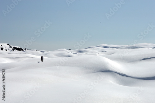 Relief of snow covered mountains