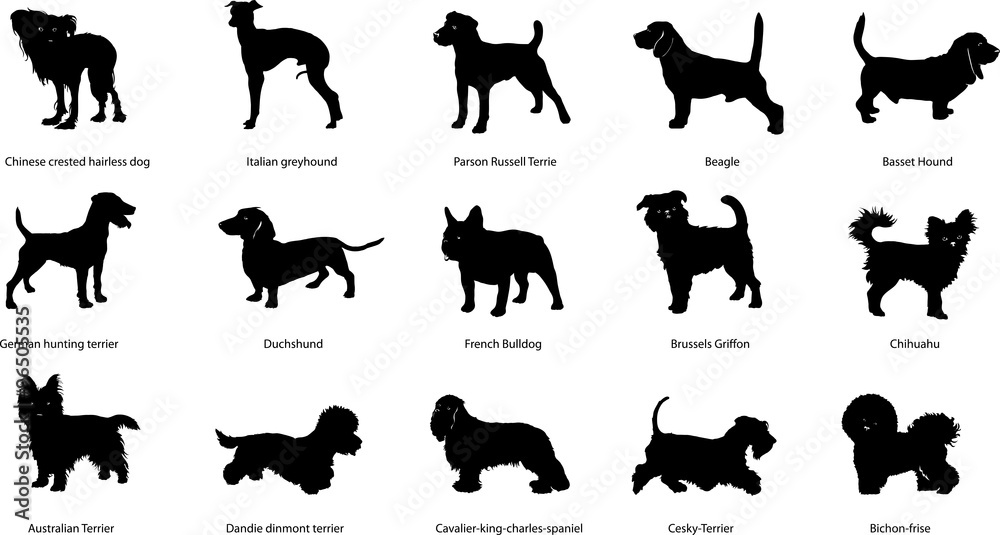 Breeds of dogs, illustrations, silhouettes, different breeds of dogs 