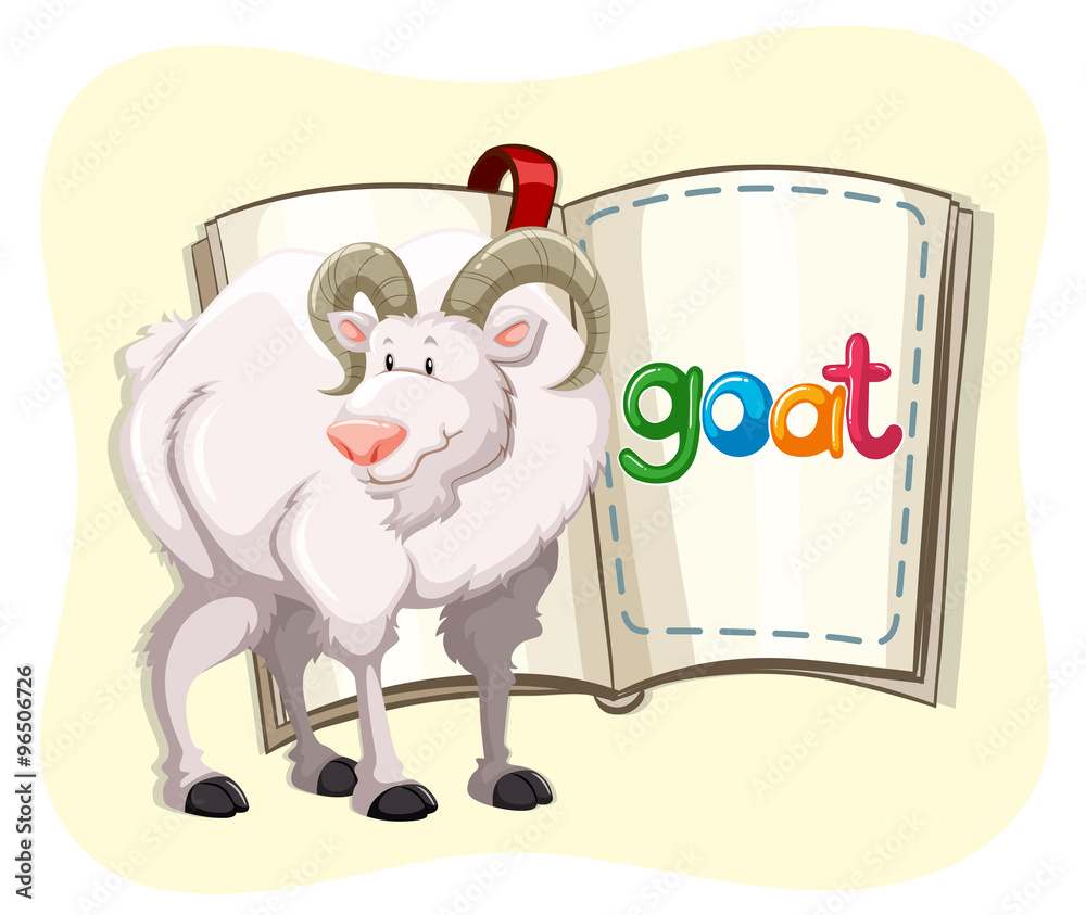 Naklejka premium Goat with white fur and a book