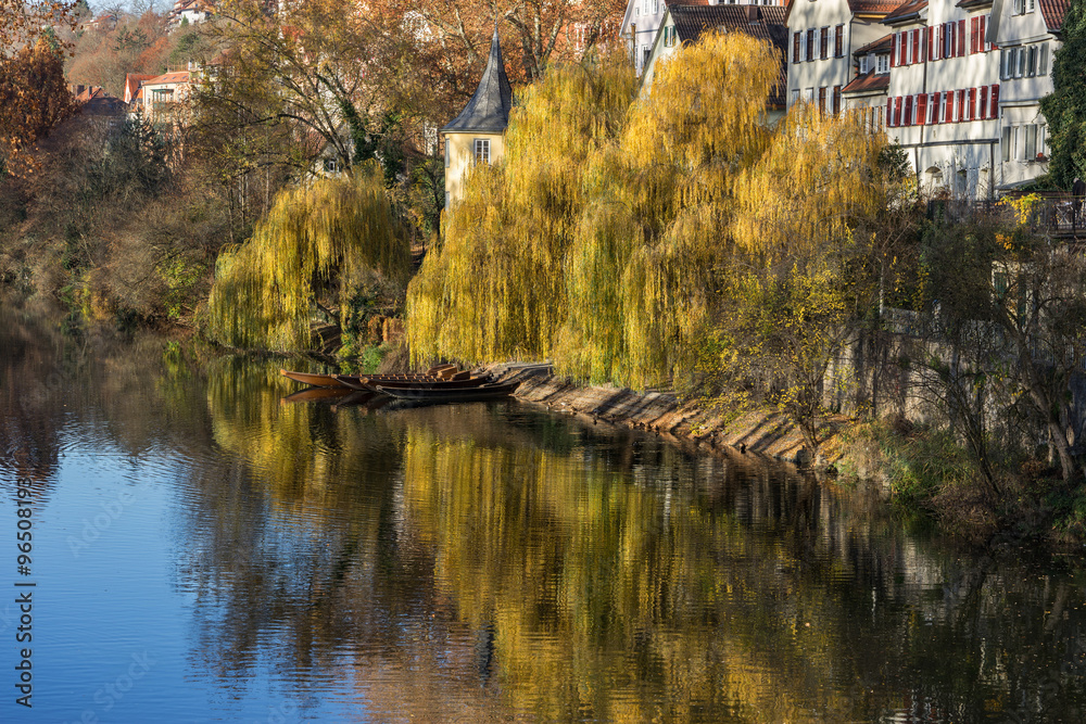 Fototapeta premium Tübingen Neckar