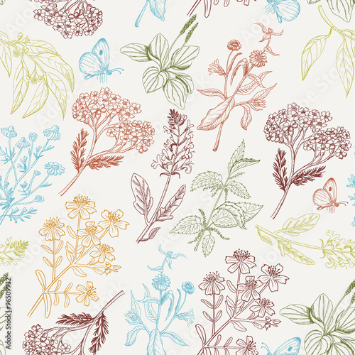 Vector seamless pattern with herbs