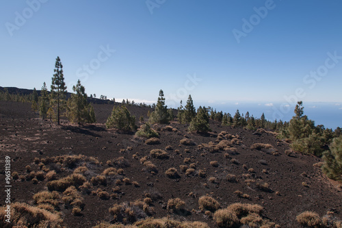 Teide Tenerife Canarian volcano landscapes