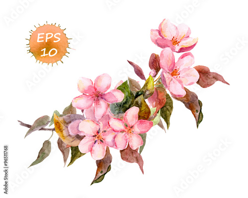 Blossom branch cherry, plum, peach, sakura with pink flowers. Watercolor