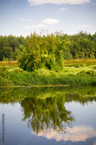 Green Forest and River