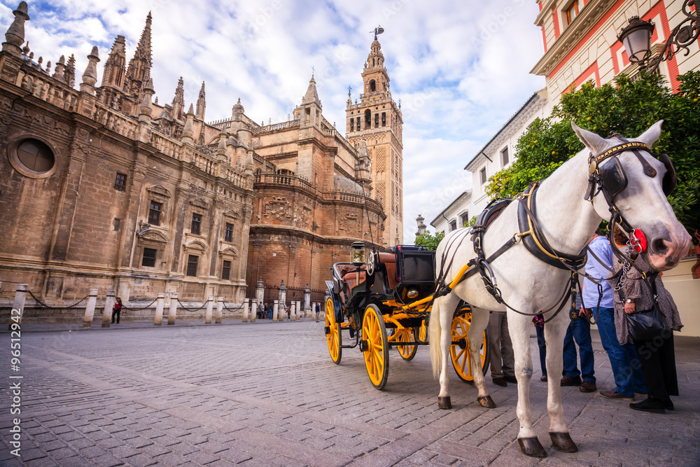 Fototapeta Horse carriage in Seville, the Giralda cathedral in the background, Andalusia, Spain