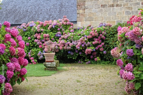 Foto Bretagne Landscape