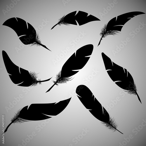feathers