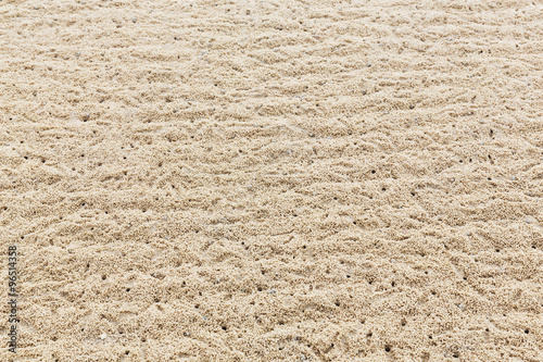 Wallpaper Mural Ghost crab hole on the beach Torontodigital.ca