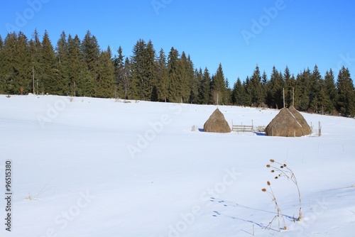 Fotografia Winter rural scene with haystacks