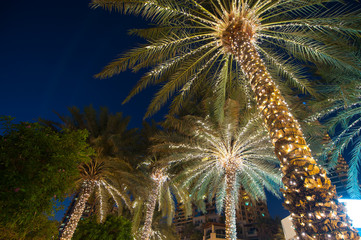 Wandcirkels Palmboom Kerstdecoratie met palmboom achtergrond  © timonko