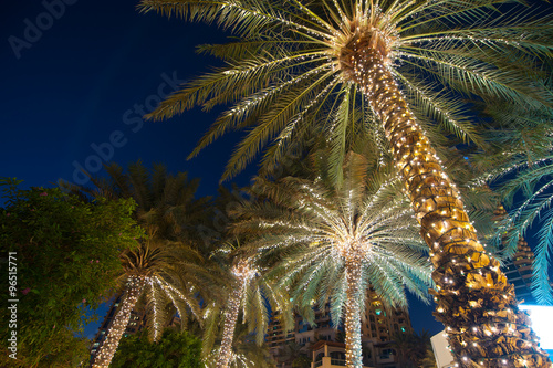 christmas decoration background palm tree
