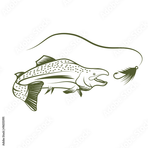 salmon and lure vector design template