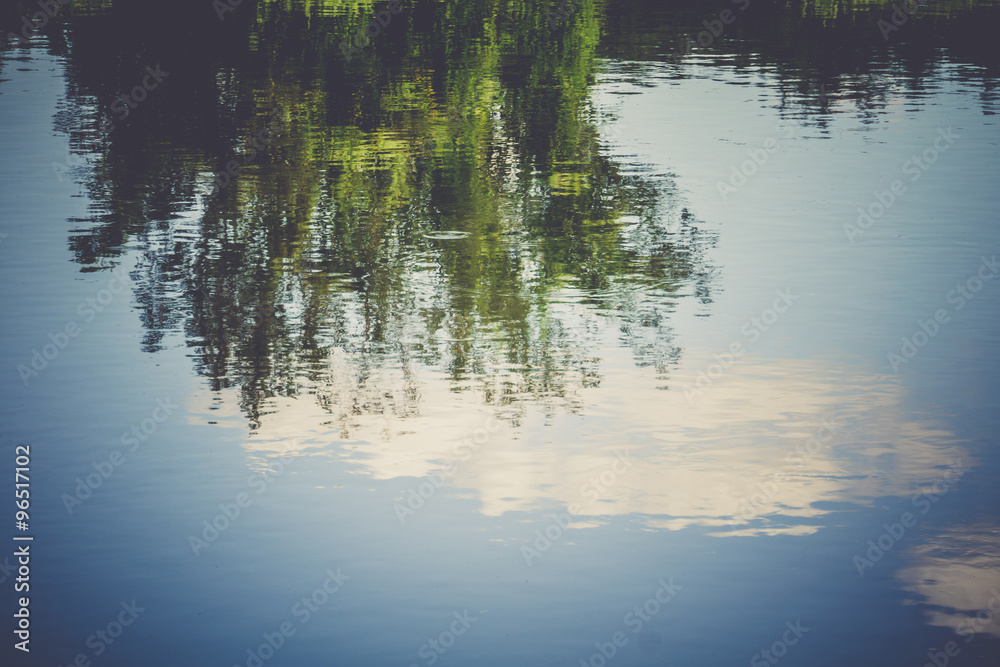 Trees Reflection in the River Retro